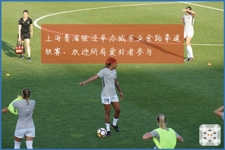 上海青浦徐泾举办城市业余跆拳道联赛，欢迎所有爱好者参与