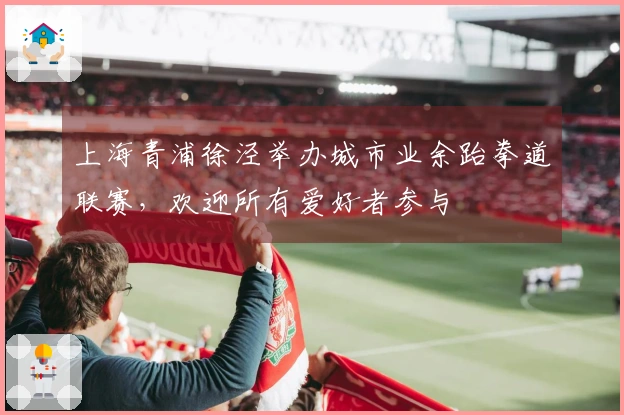 上海青浦徐泾举办城市业余跆拳道联赛，欢迎所有爱好者参与