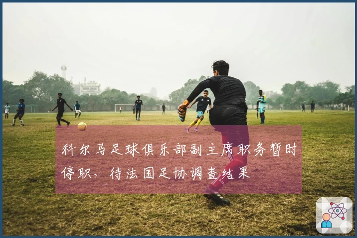科尔马足球俱乐部副主席职务暂时停职，待法国足协调查结果